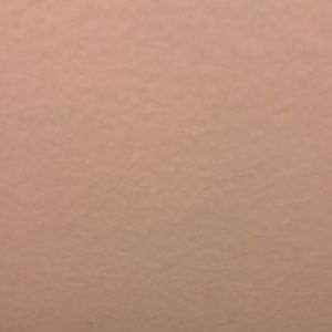 Meet your Posher, Shaindy